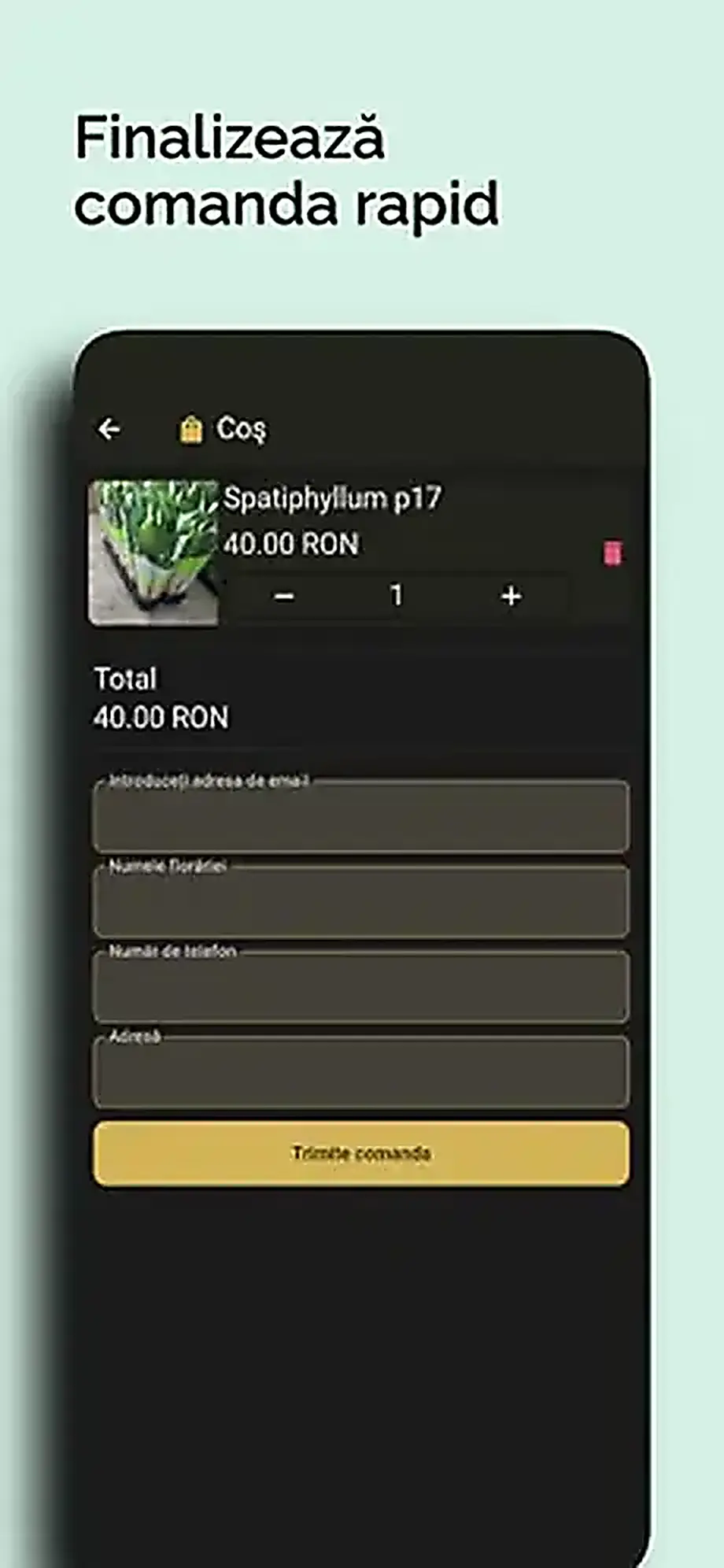 Matthiola Flower Shop screenshot 3